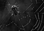 macro_giu2019___Dark macro_giu2019___Dark