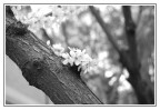 Finalmente primavera Finalmente primavera