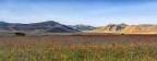 Castelluccio 2019