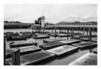 Pier 39 Pier 39