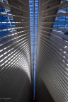 Oculus Oculus
