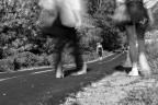 Walking Walking