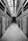 Doors Doors