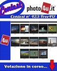 Contest 423 free4U  - Votazione in corso