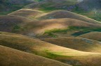 Colline Colline