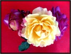Rose Rose