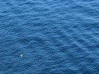 lost in the blue lost in the blue