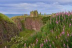 Dunnottar Castle
