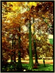 Passeggiando. Passeggiando.