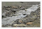 torrente torrente