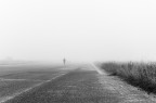Winter Fog Winter Fog