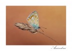 15/09/2019 arrivederci 15/09/2019 arrivederci