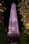 Rockfeller Center  N.Y.C.