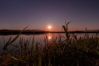 ..tramonto in campagna.. ..tramonto in campagna..