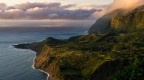 Flores Flores