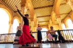 Flamenco Flamenco