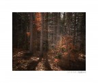 Autumn stories Autumn stories