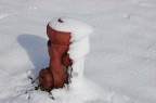 Neve Neve
