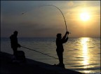 Pesca Pesca