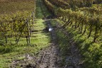 Langhe Ottobre 2019 Langhe Ottobre 2019