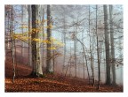 Ultimi raggi di sole Ultimi raggi di sole