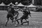 rugby_ rugby_
