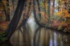 ENCHANTED AUTUMN ENCHANTED AUTUMN