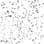 traffic in the sky traffic in the sky