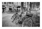biciclette biciclette