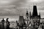 Praga 2014