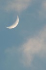 Gobba a ponente luna ... Gobba a ponente luna ...