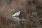 La Signora del fiume La Signora del fiume
