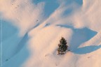 Solo nella neve Solo nella neve