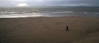 Spiaggia di Exmouth Spiaggia di Exmouth