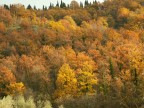 Decisamente autunno Decisamente autunno