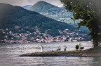 Fiori d'arancio Fiori d'arancio