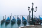 Venezia Venezia