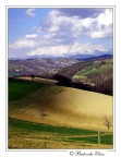 Paesaggio! Paesaggio!