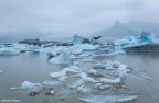 Fjallsarlon Fjallsarlon