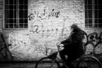 Signora in bicicletta Signora in bicicletta