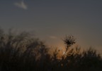 Emotional Sunset Emotional Sunset