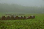 Tra nebbia ed acqua.. Tra nebbia ed acqua..