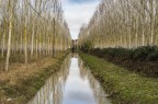 Il piccolo canale.. Il piccolo canale..