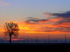 alba lombarda alba lombarda