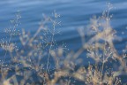 LagoCanterno_24122019