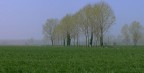 campagna milanese campagna milanese