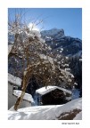 Winter Sun Winter Sun