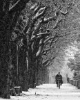 pedalare dentro la neve... pedalare dentro la neve...