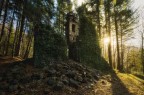 Rovine Rovine