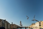 Scatto al volo! Scatto al volo!